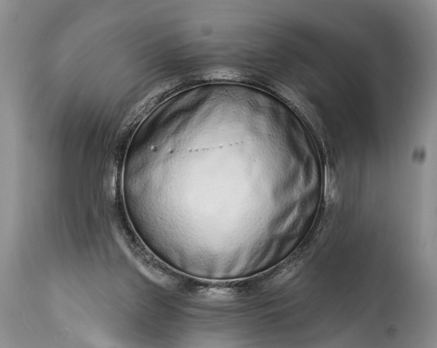 X0000114990157200911091343