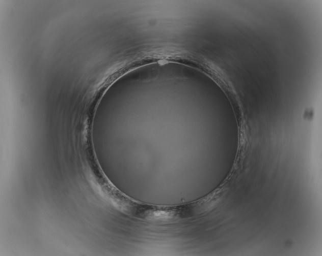 X0000114990163200911091343