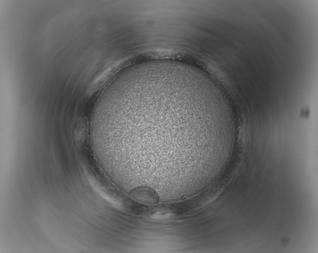 X0000114990165200911091343