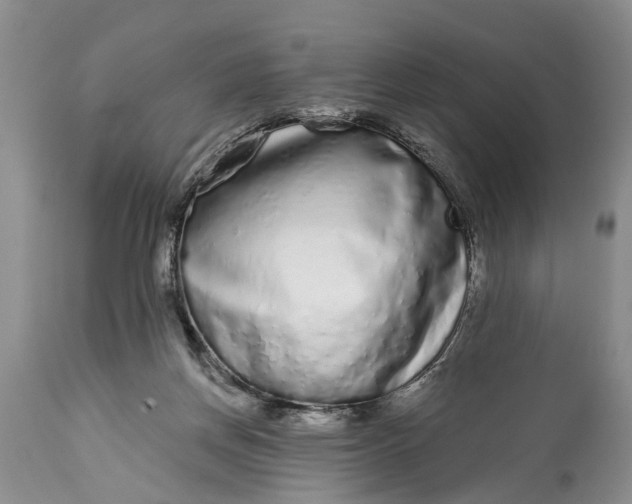 X0000114990166200911091343