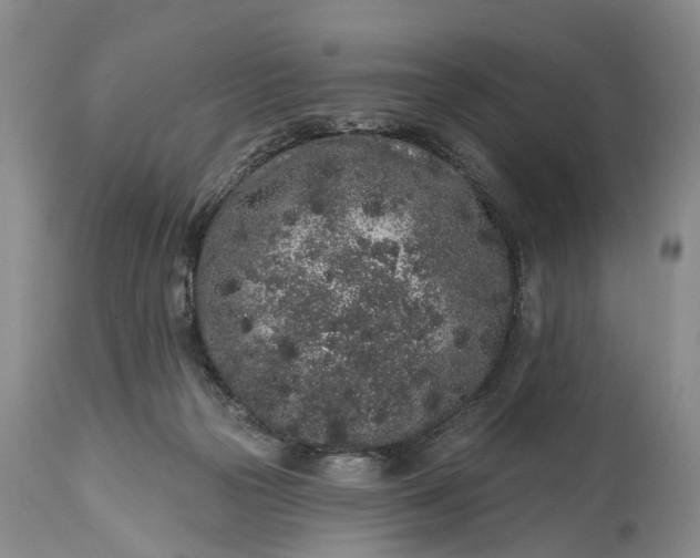 X0000114990169200911091343