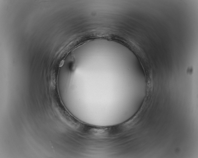 X0000114990170200911091343