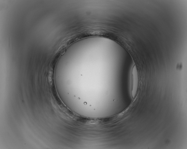 X0000114990175200911091343