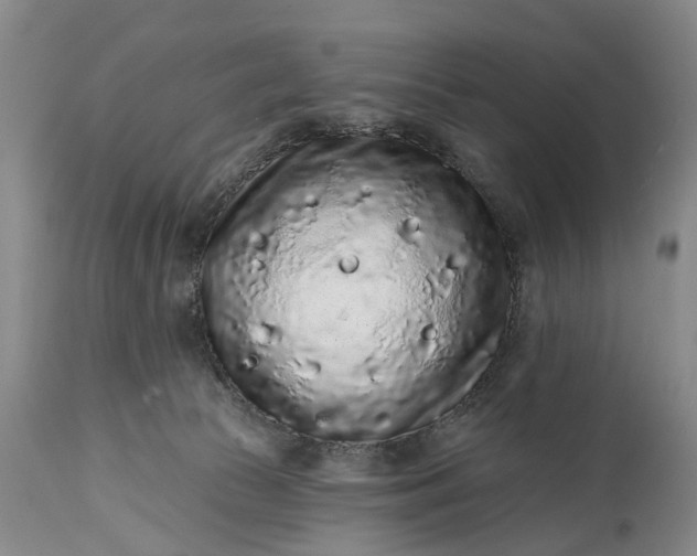 X0000114990177200911091343