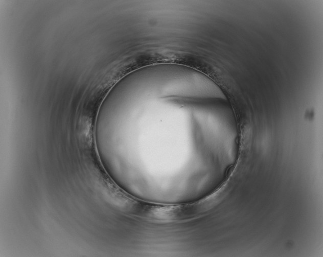 X0000114990178200911091343