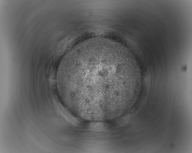 X0000114990181200911091343