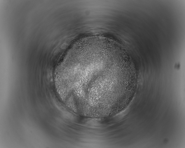X0000114990182200911091343