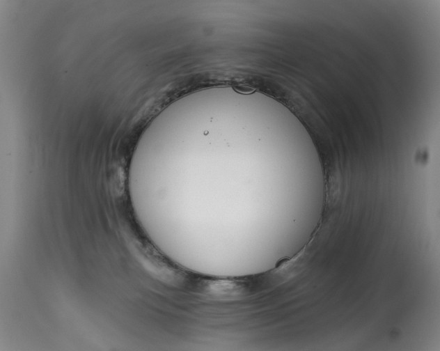 X0000114990183200911091343