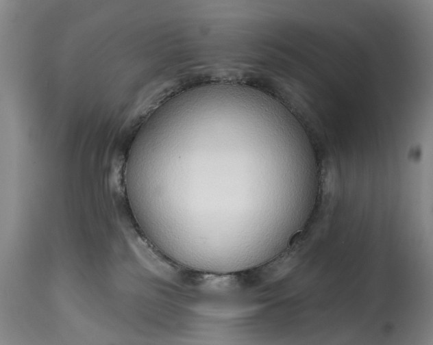 X0000114990185200911091343