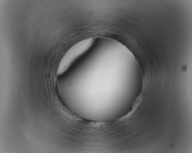 X0000114990186200911091343