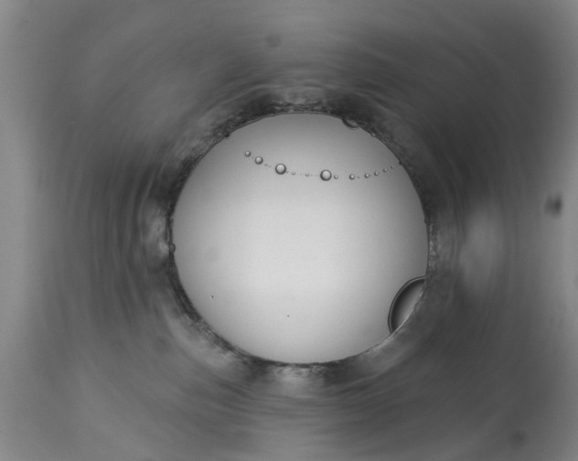 X0000114990187200911091343