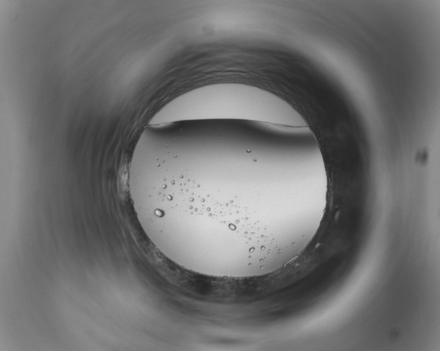 X0000114990190200911091343