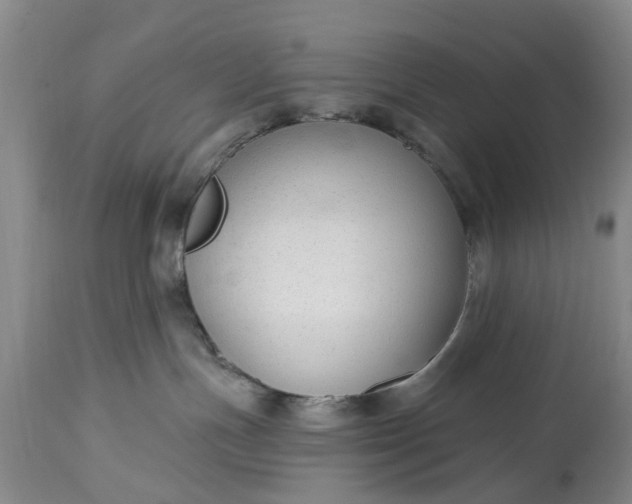 X0000114990191200911091343