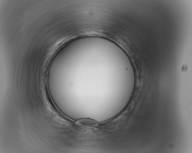X0000114990193200911091343