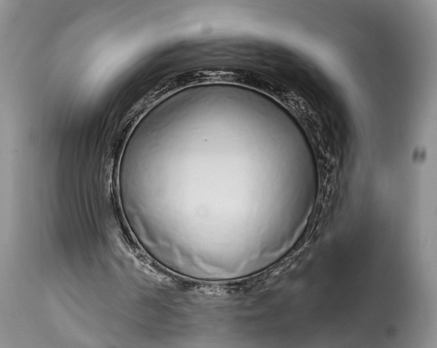 X0000114990194200911091343
