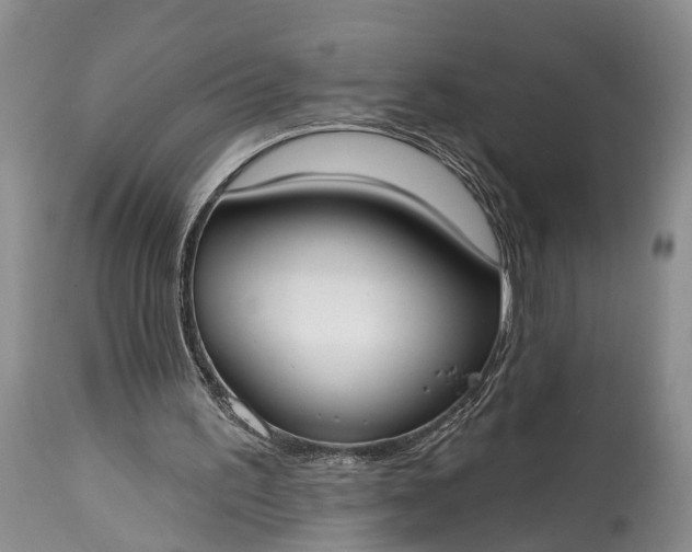 X0000114990195200911091343