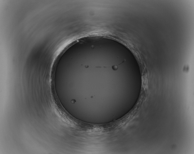 X0000114990196200911091343