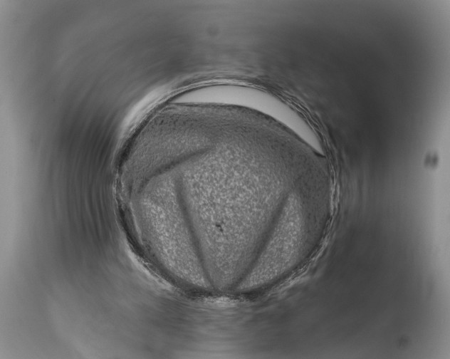 X0000114990197200911091343