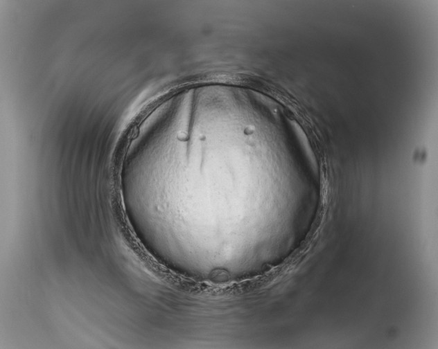 X0000114990198200911091343
