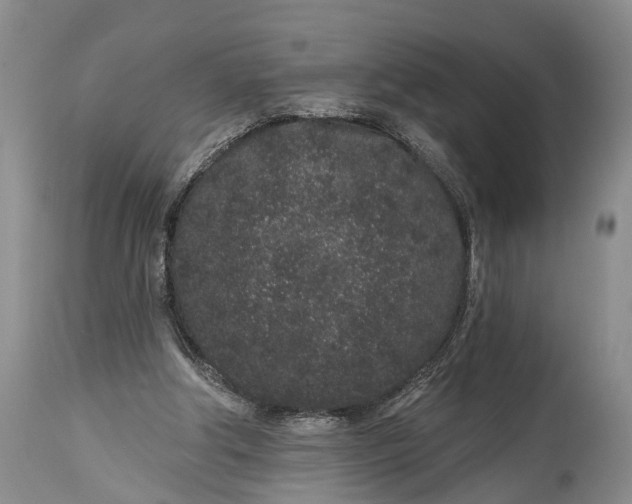 X0000114990202200911091343