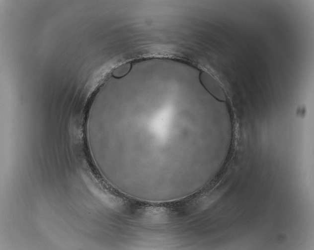X0000114990203200911091343