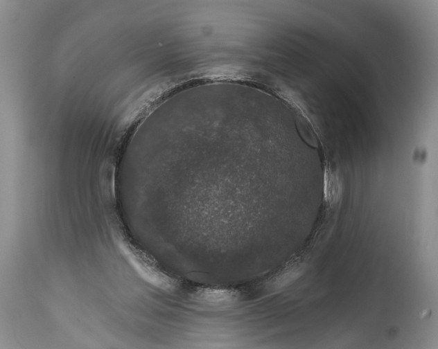 X0000114990205200911091343