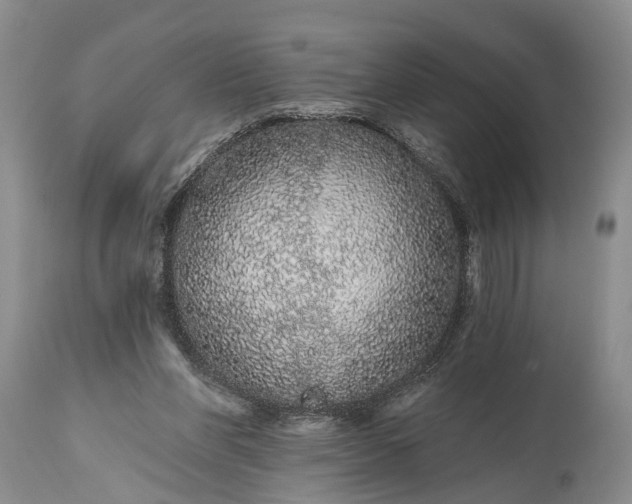X0000114990206200911091343