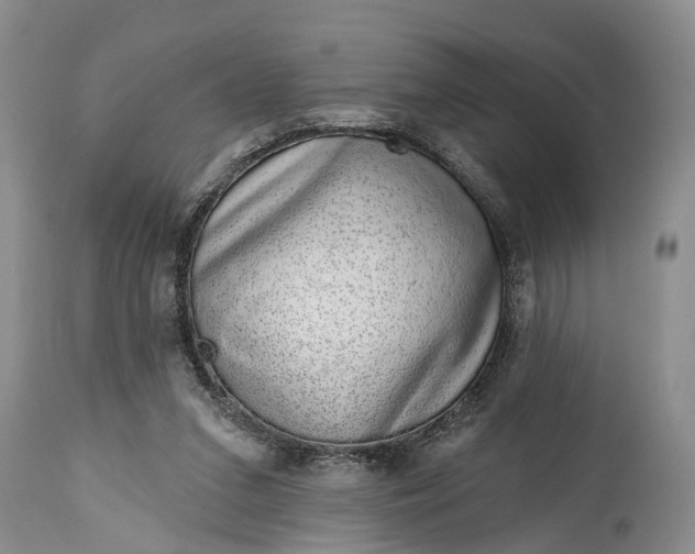 X0000114990207200911091343