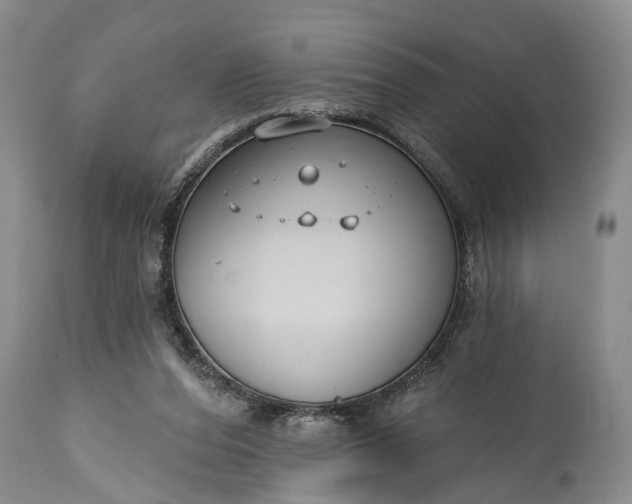 X0000114990208200911091343