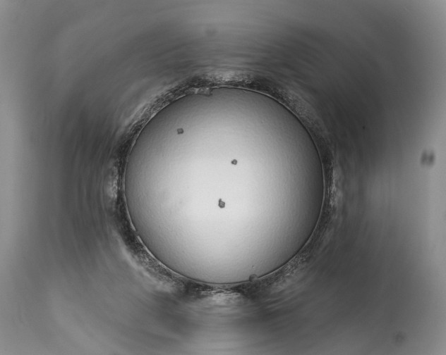 X0000114990210200911091342