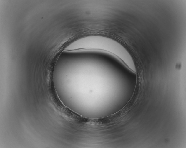 X0000114990211200911091342