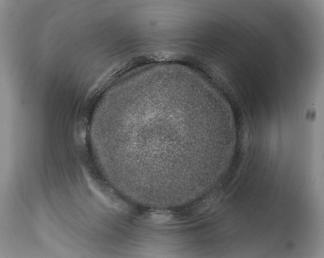 X0000114990214200911091342