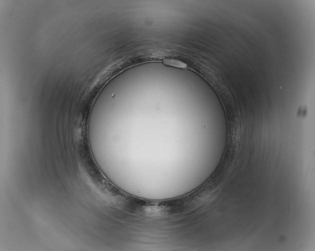 X0000114990216200911091342