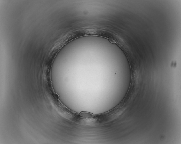 X0000114990217200911091342