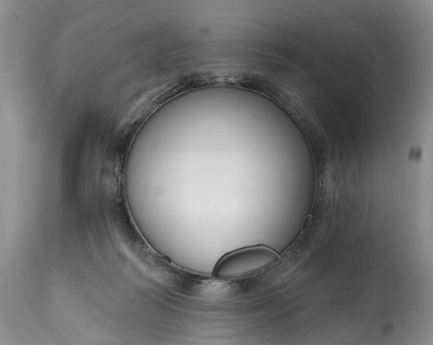 X0000114990218200911091342