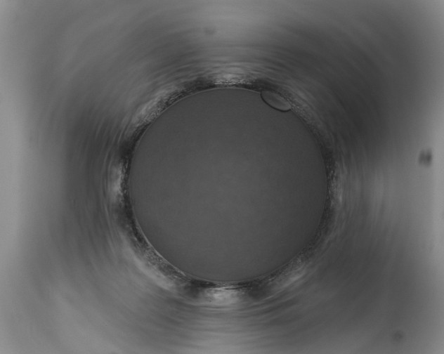 X0000114990219200911091342