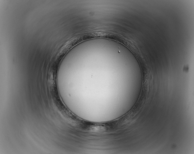 X0000114990220200911091342