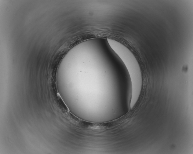 X0000114990221200911091342