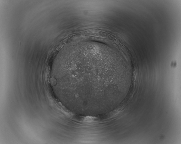X0000114990222200911091342