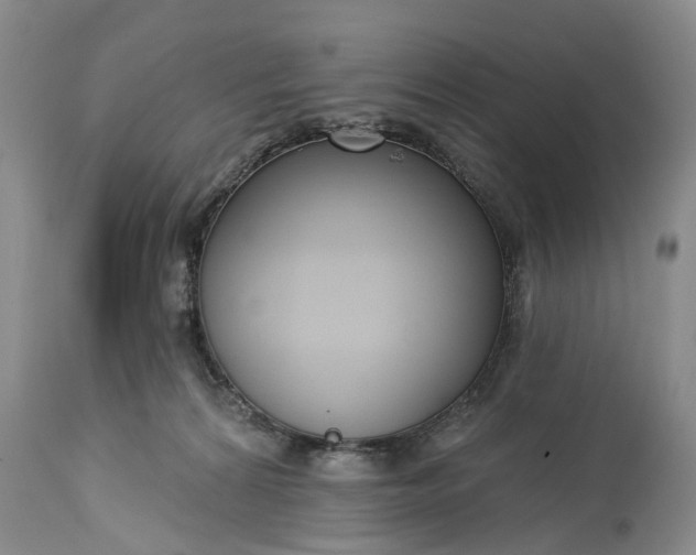X0000114990224200911091342