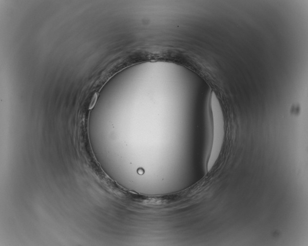 X0000114990225200911091342