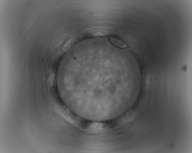 X0000114990227200911091342
