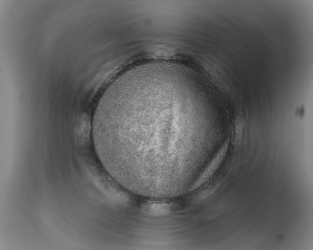 X0000114990228200911091342