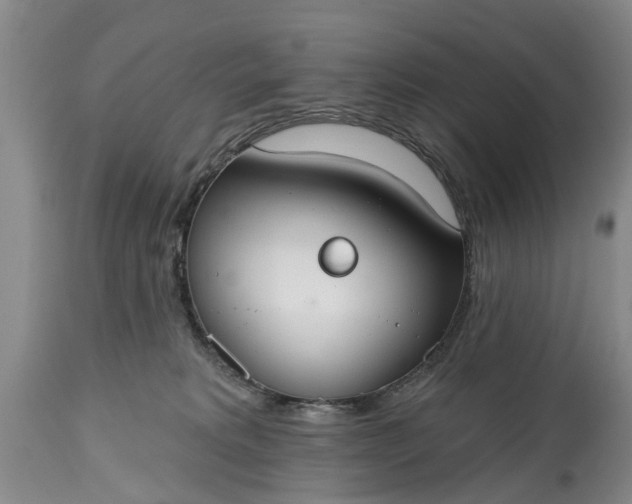 X0000114990229200911091342