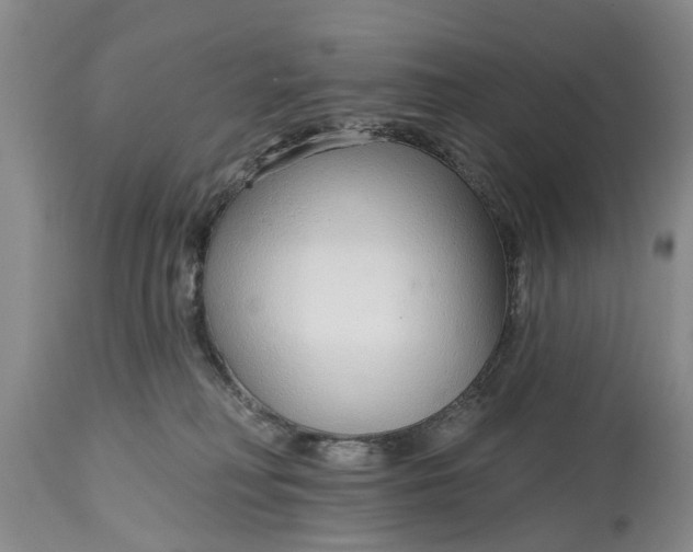 X0000114990230200911091342