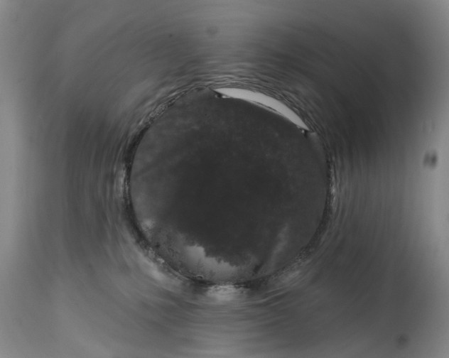 X0000114990231200911091342