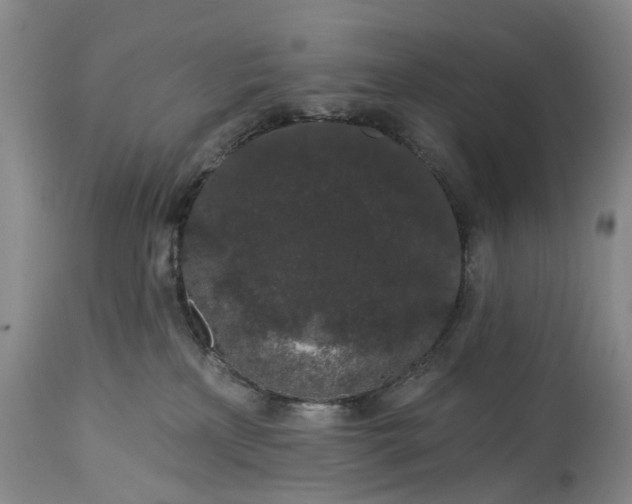 X0000114990233200911091342