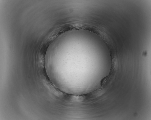 X0000114990234200911091342