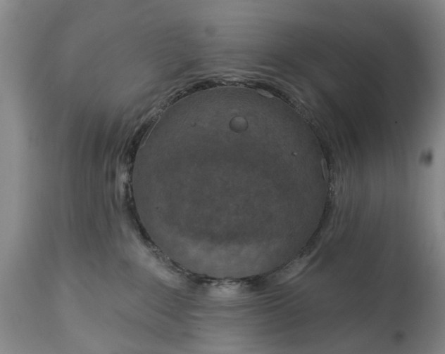 X0000114990235200911091342