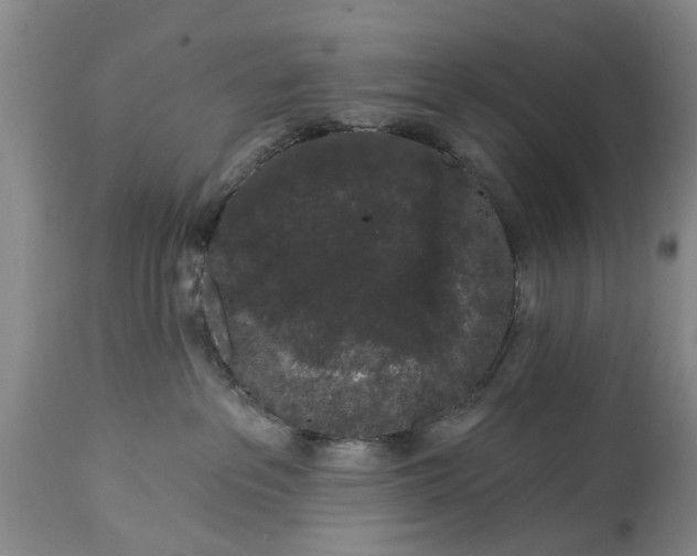 X0000114990237200911091342